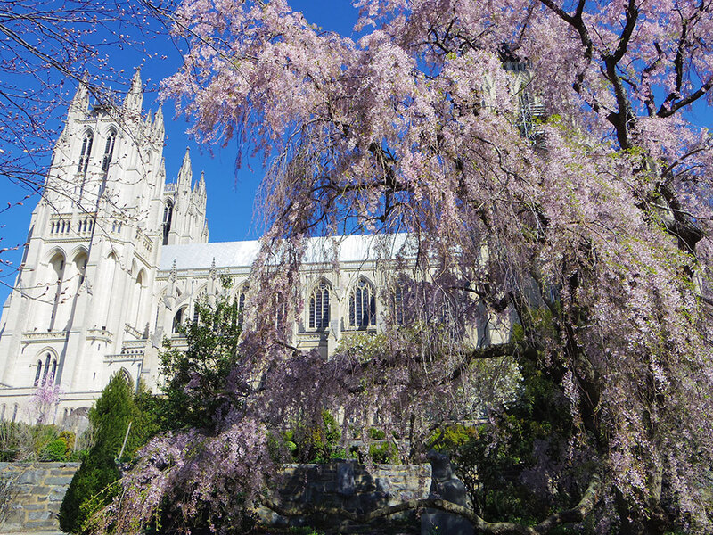 Washington Cathedral Close 