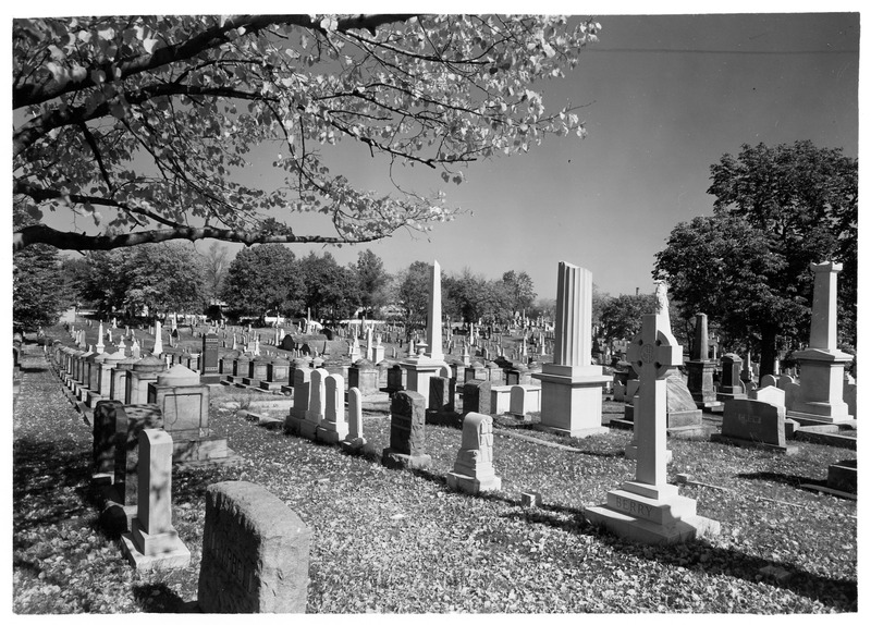 General overview of Congressional Cemetery with rows of cenotaphs in the middle ground, 1964